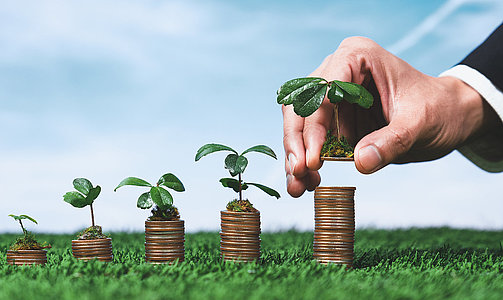 Corporate business invests in environmental subsidies with hand grow seedlings on coin stack for natural awareness. Eco subsidized growth investment for environment protection and clean energy. Alter