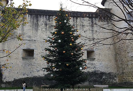 Sapin-Noel-Bayonne