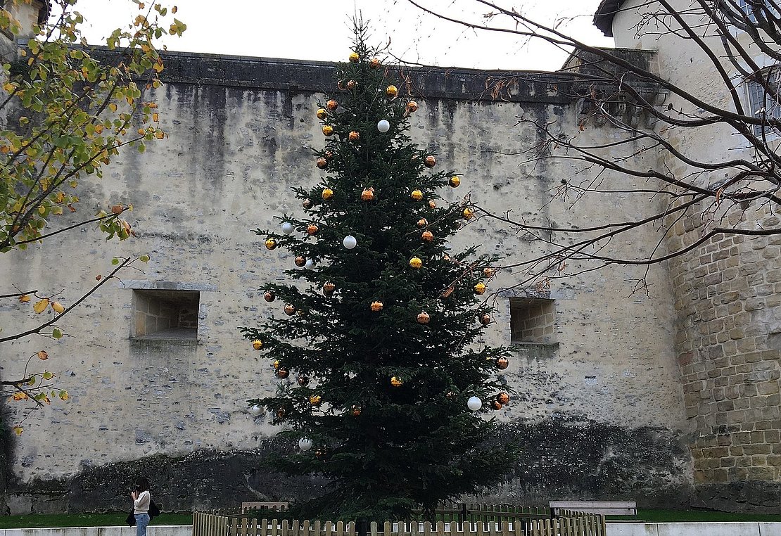 Sapin-Noel-Bayonne