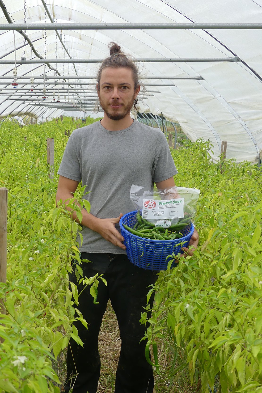 Thomas Lacombe, producteur de la ferme de Pintan à Bayonne.