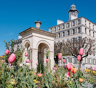 garden in the city place royale in Pau