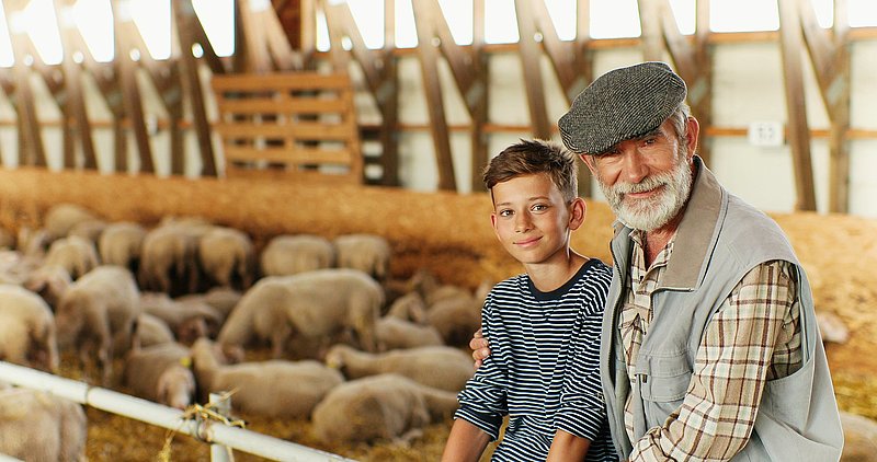 Portrait of Caucasian old gray-haired man embracing little cute boy and smiling to camera while sitting together in stable with sheep. Small grandson and grandfather embracing in farm with cattle.