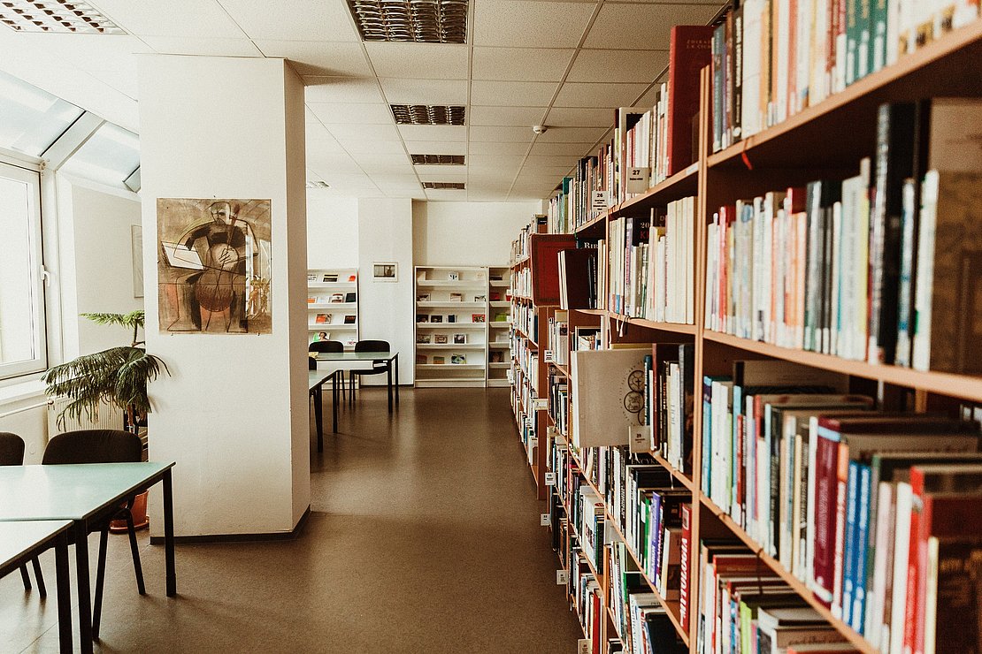La première Journée nationale des bibliothèques. Photo © Trnava University - Unsplash