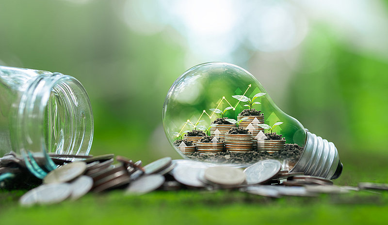 plants growing in bulbs green investment concept Rising money to invest A seedling is growing on a coin lying on the ground. financial growth concept